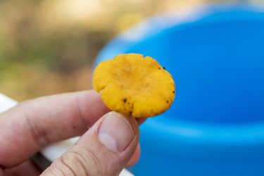 Similar image 21747507