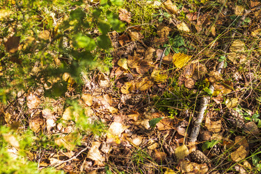 Similar image 21747640