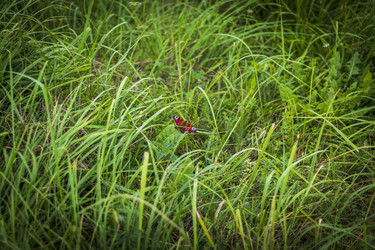 Similar image 21747641