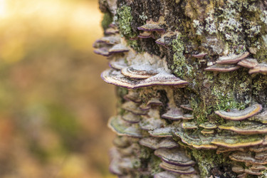 Similar image 21747700