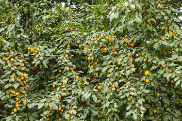 Similar image 21747709