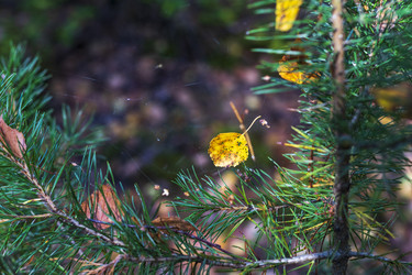 Similar image 21747951