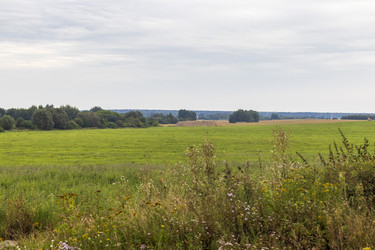 Similar image 21747956