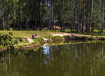 Similar image 21747961