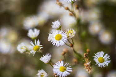 Similar image 21747962