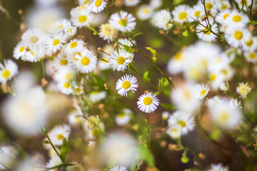 Similar image 21747964