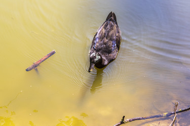 Similar image 21747965