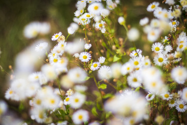 Similar image 21747966