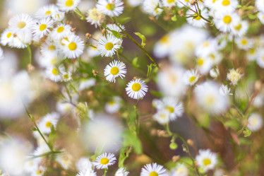 Similar image 21747967