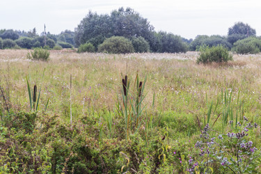 Similar image 21747970