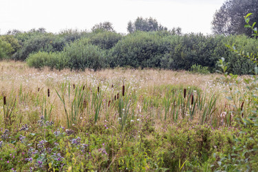 Similar image 21747974