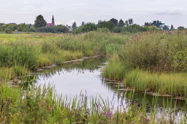 Similar image 21722710