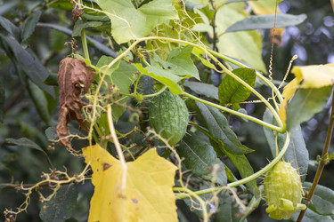 Similar image 21722711