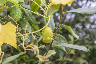 Similar image 21722714