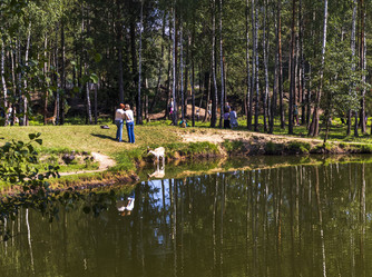 Similar image 21722715