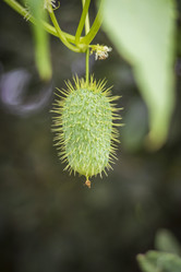 Similar image 21722720