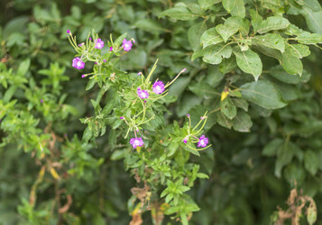 Similar image 21722722