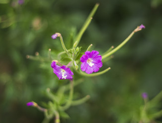 Similar image 21722724