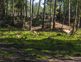 Similar image 21722725