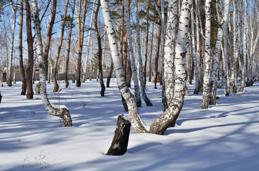 Similar image 21722080