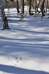 Similar image 21722082