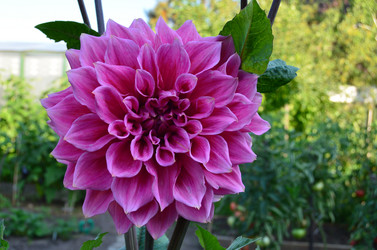 Similar image 21722089