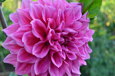 Similar image 21722090