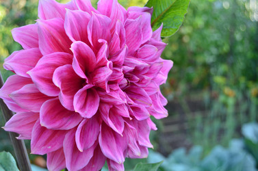 Similar image 21722091