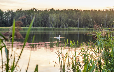 Similar image 21723100