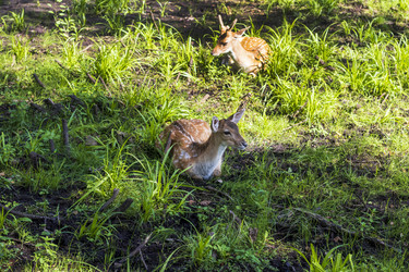 Similar image 21723103