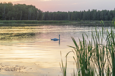 Similar image 21723104