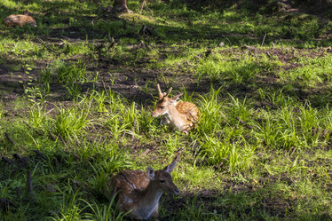 Similar image 21723105