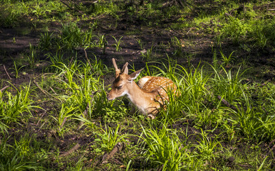 Similar image 21723106