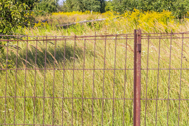 Similar image 21723108