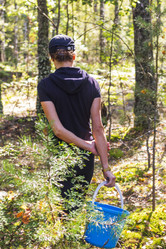 Similar image 21723111