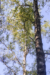 Similar image 21723113