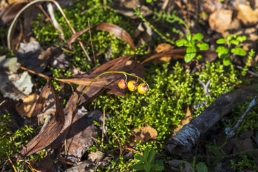 Similar image 21723115