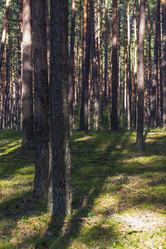 Similar image 21723122