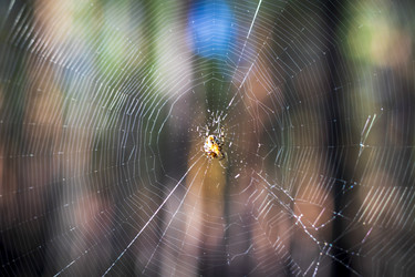 Similar image 21723125