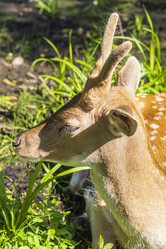 Similar image 21723128