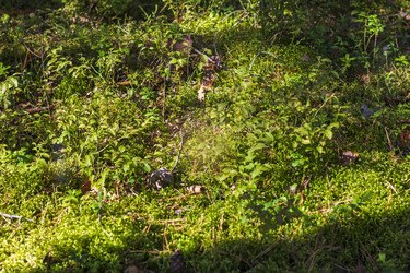 Similar image 21723129