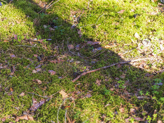 Similar image 21723131