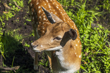 Similar image 21723132