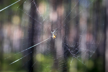 Similar image 21723133