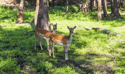 Similar image 21723134