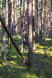 Similar image 21723135