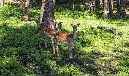 Similar image 21723136