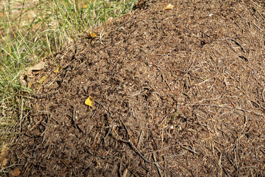 Similar image 21723137