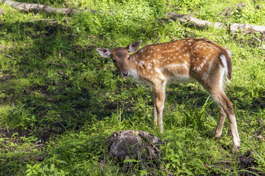 Similar image 21723148