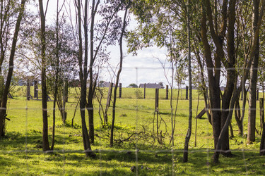 Similar image 21723152